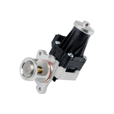 1 696 587 Ventil za recirkulaciju ispušnih plinova za FORD platforme