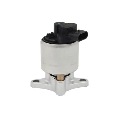 17096154 Automobilski EGR ventil za CHEVROLET BorgWarner: EGR1179