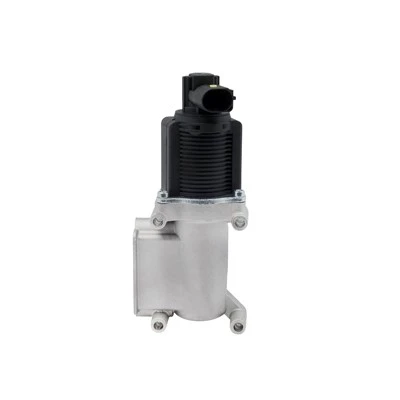 46535796 EGR ventil OE kvalitete za FIAT motore ERA: 555029