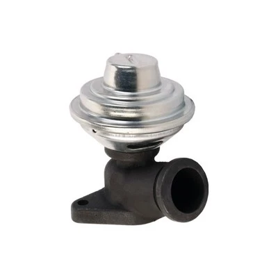 9638231480 Diesel EGR ventil kompatibilan s FIAT ERA: 555226